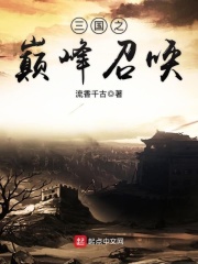 三国之巅峰召