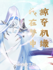 我在梦中掠夺