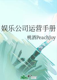 娱乐公司运营