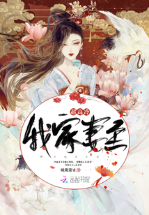 我家妻主超高