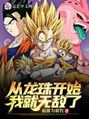 从龙珠开始我
