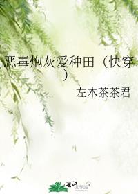 恶毒炮灰爱种